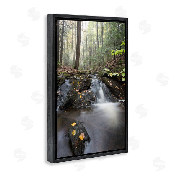 Stupell Industries James Rodewald | Misty Stream Adirondacks Wall Art