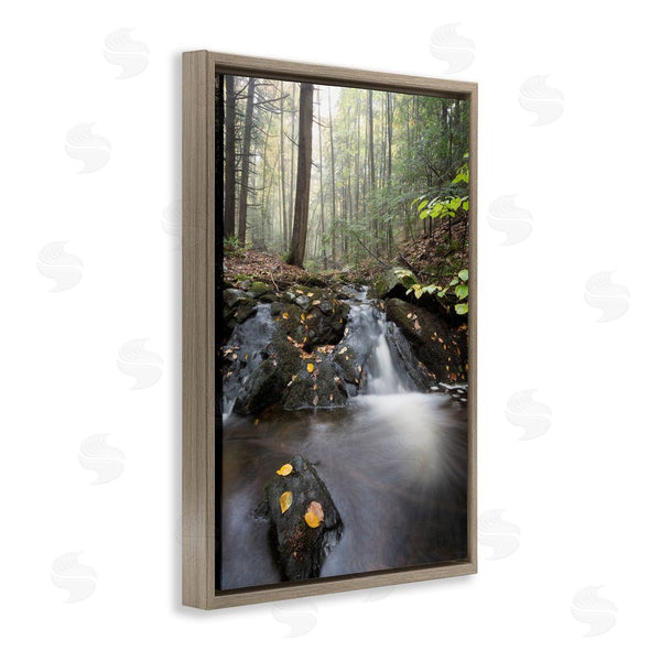 Stupell Industries James Rodewald | Misty Stream Adirondacks Wall Art