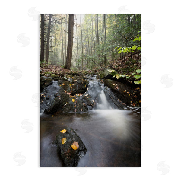 stupell industries James Rodewald | Misty Stream Adirondacks Wall Art