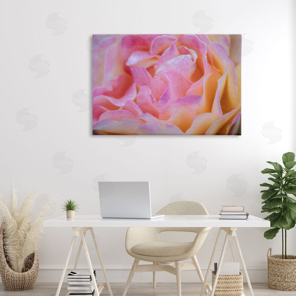 Stupell Industries James Rodewald | Pink Floral Petals Palette Wall Art