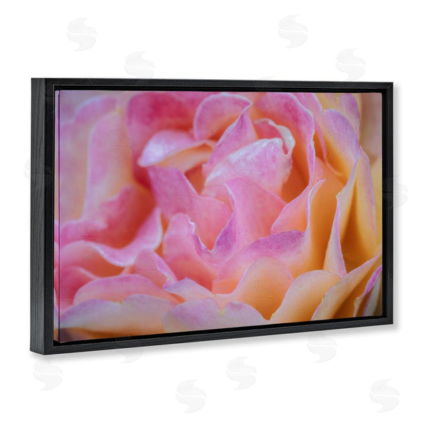 Stupell Industries James Rodewald | Pink Floral Petals Palette Wall Art