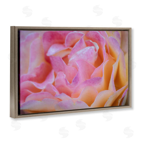 Stupell Industries James Rodewald | Pink Floral Petals Palette Wall Art