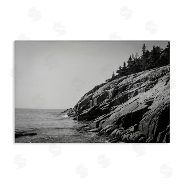 stupell industries James Rodewald | Steep Ocean Cliff Side Wall Art
