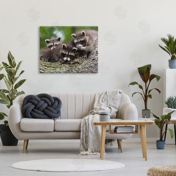Stupell Industries Jan Piecha | Raccoon Babies In Tree Wall Art