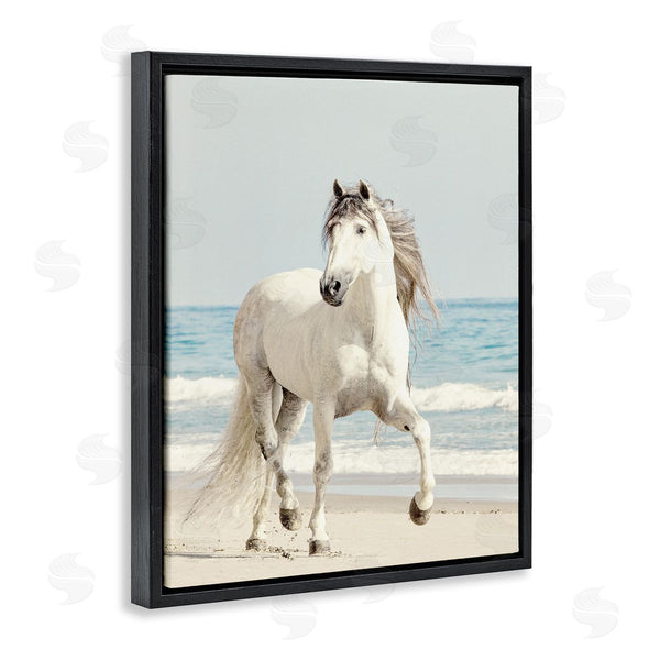 Stupell Industries Jan Walters | Galloping White Stallion Wild Horse Sun Bleached Coast Wall Art