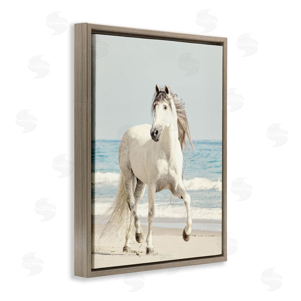 Stupell Industries Jan Walters | Galloping White Stallion Wild Horse Sun Bleached Coast Wall Art