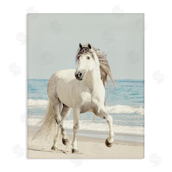 stupell industries Jan Walters | Galloping White Stallion Wild Horse Sun Bleached Coast Wall Art