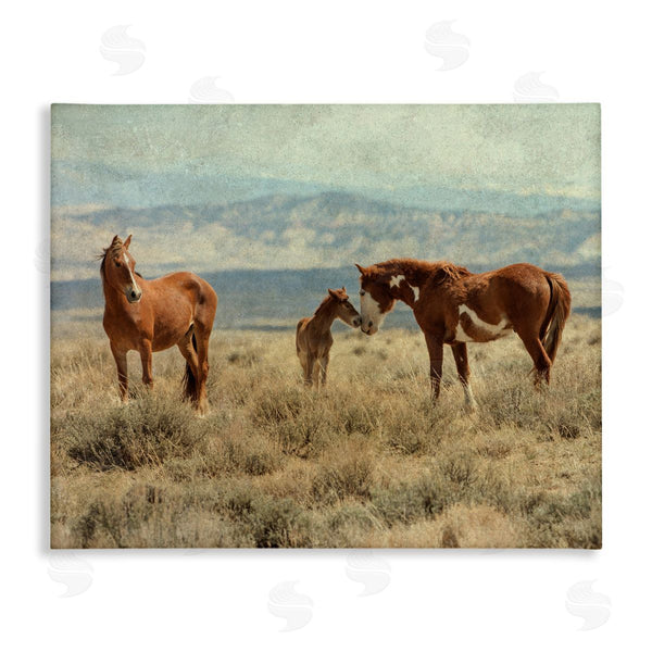 stupell industries Jan Walters | Heartening Horse Foal Family Scenic Mountain Clouds Wall Art
