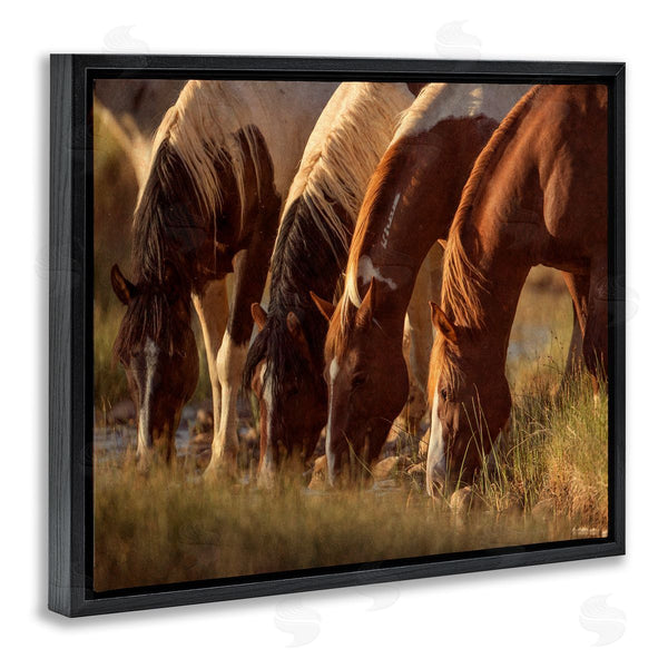 Stupell Industries Jan Walters | Sunlit Horses Drinking Water Wildlife Nature Scene Wall Art