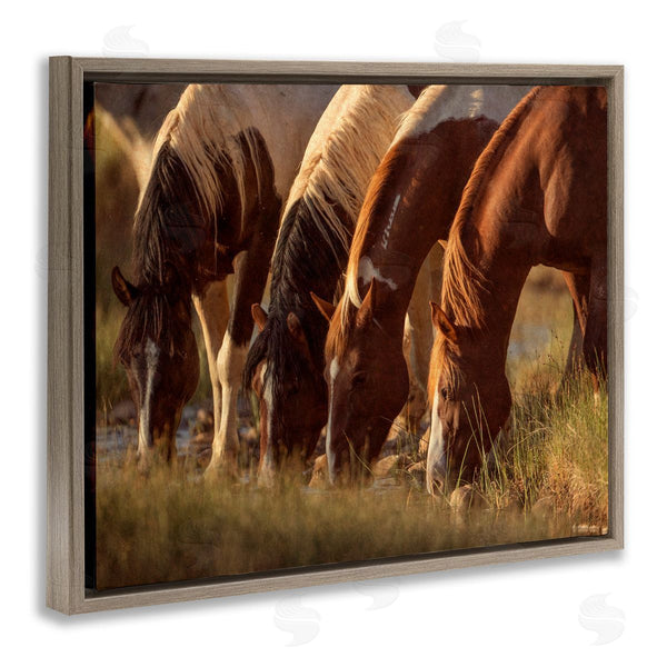 Stupell Industries Jan Walters | Sunlit Horses Drinking Water Wildlife Nature Scene Wall Art