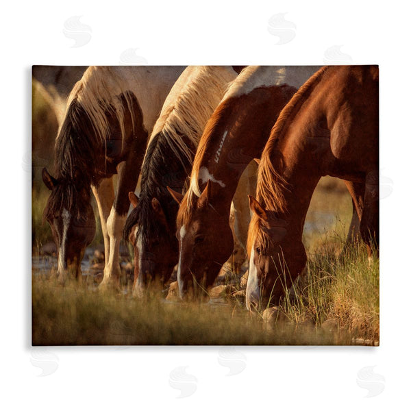 stupell industries Jan Walters | Sunlit Horses Drinking Water Wildlife Nature Scene Wall Art