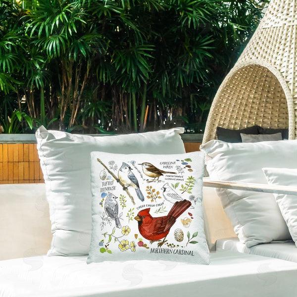 Stupell Industries Jane Maday | Bird Watching Chart Printed Throw Pillow