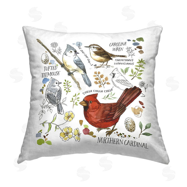 stupell industries Jane Maday | Bird Watching Chart Printed Throw Pillow