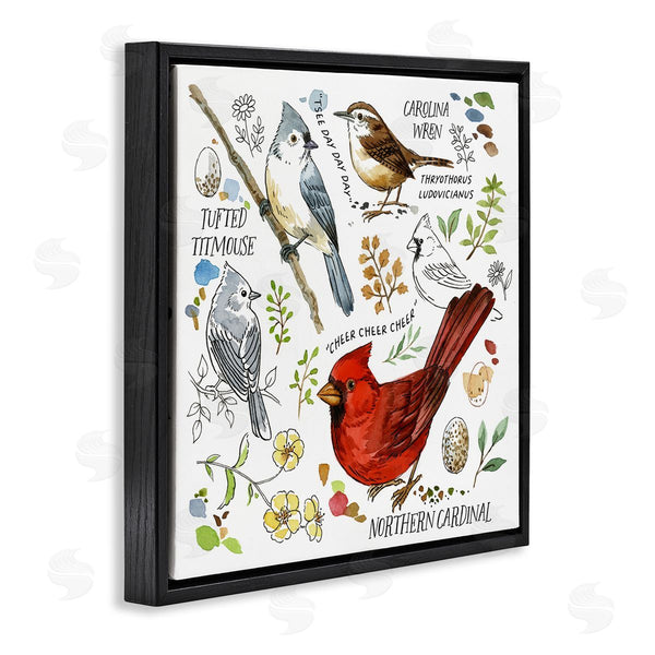 Stupell Industries Jane Maday | Bird Watching Chart Wall Art