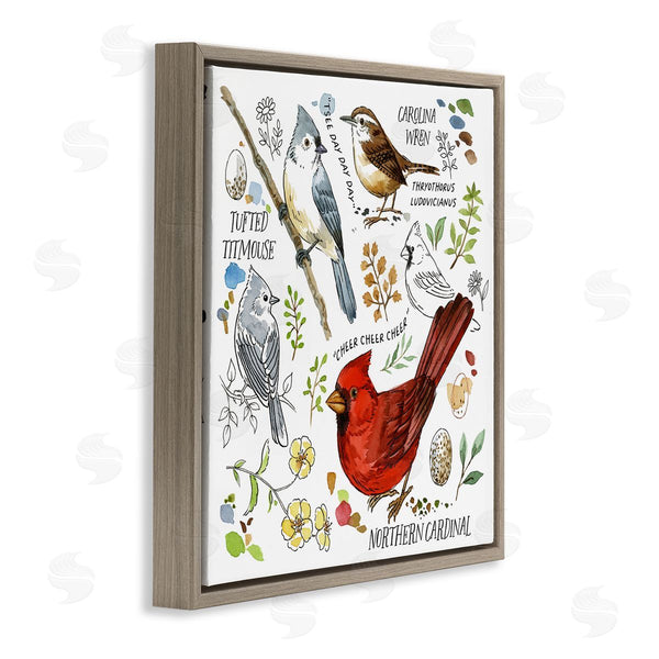 Stupell Industries Jane Maday | Bird Watching Chart Wall Art