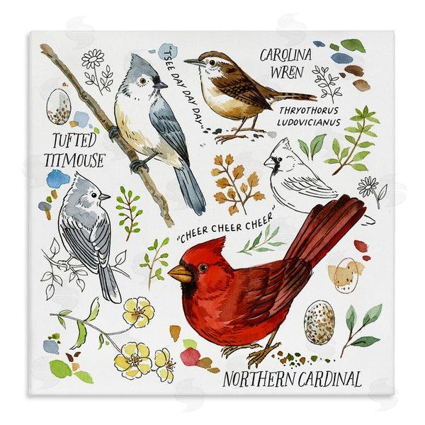 stupell industries Jane Maday | Bird Watching Chart Wall Art