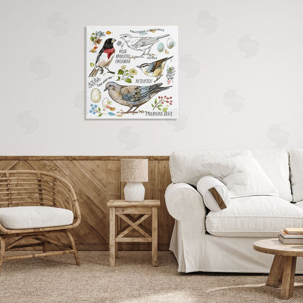 Stupell Industries Jane Maday | Bird Watching Diagram Wall Art