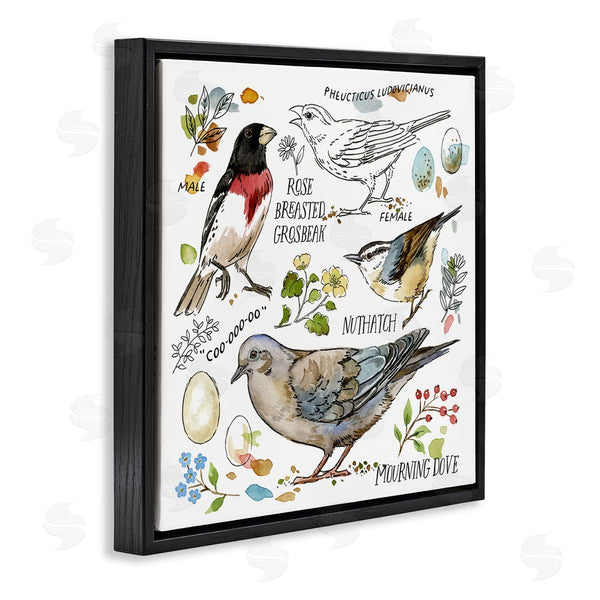 Stupell Industries Jane Maday | Bird Watching Diagram Wall Art