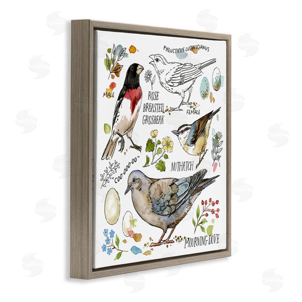 Stupell Industries Jane Maday | Bird Watching Diagram Wall Art