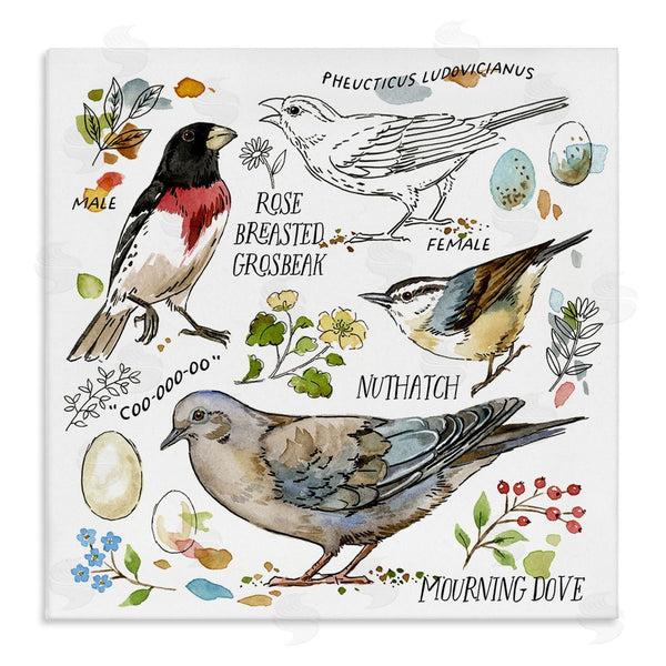 stupell industries Jane Maday | Bird Watching Diagram Wall Art
