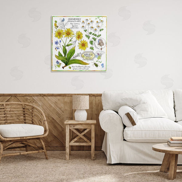 Stupell Industries Jane Maday | Chamomile Herb Uses Wall Art