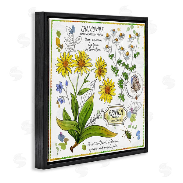 Stupell Industries Jane Maday | Chamomile Herb Uses Wall Art