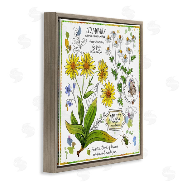 Stupell Industries Jane Maday | Chamomile Herb Uses Wall Art