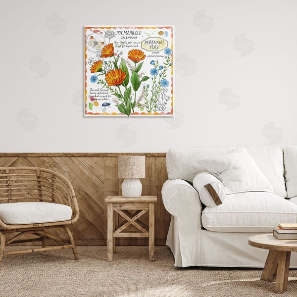 Stupell Industries Jane Maday | Country Herb Uses Wall Art