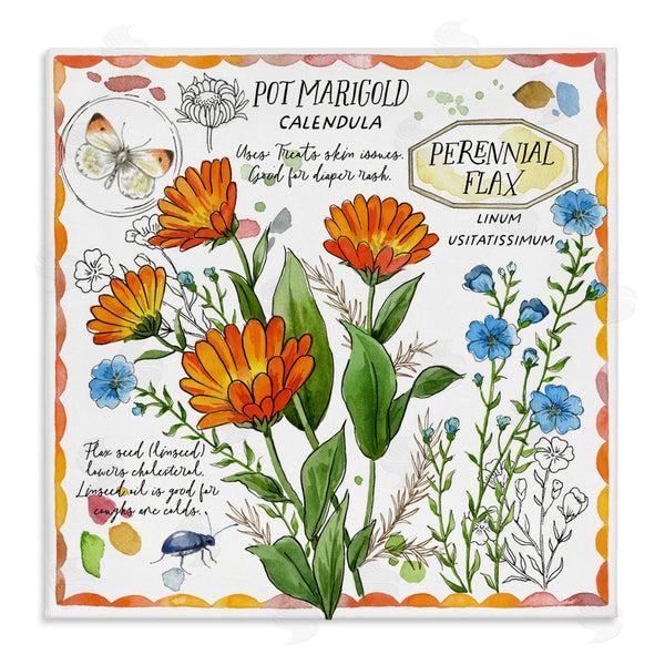 stupell industries Jane Maday | Country Herb Uses Wall Art