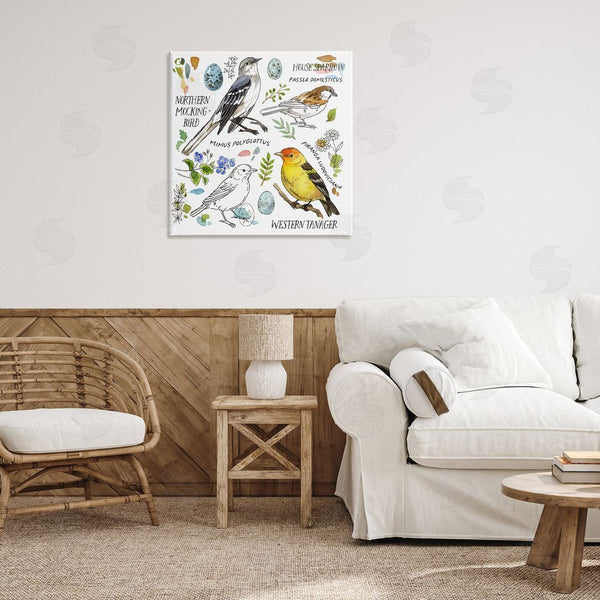 Stupell Industries Jane Maday | Local Bird Diagram Wall Art