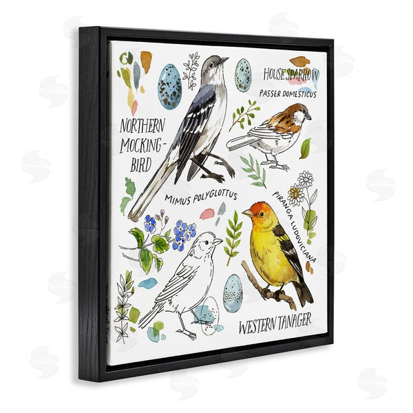 Stupell Industries Jane Maday | Local Bird Diagram Wall Art