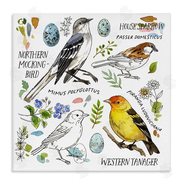 stupell industries Jane Maday | Local Bird Diagram Wall Art