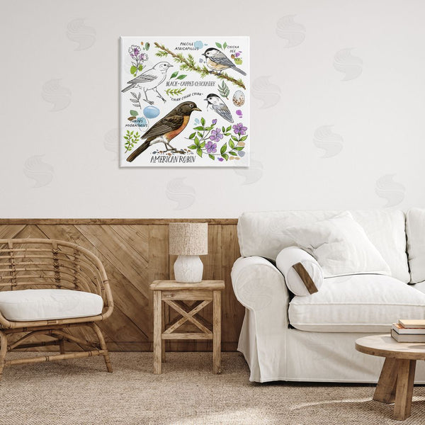 Stupell Industries Jane Maday | Local Bird Watching Wall Art