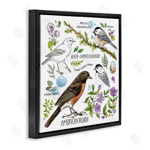 Stupell Industries Jane Maday | Local Bird Watching Wall Art