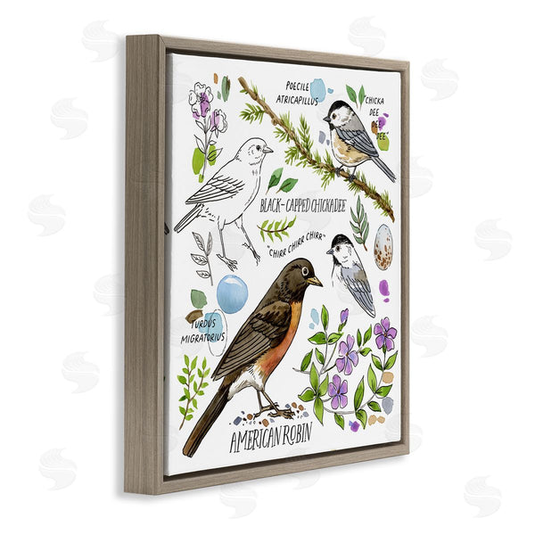 Stupell Industries Jane Maday | Local Bird Watching Wall Art