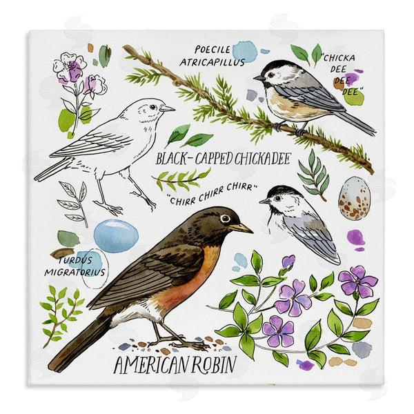 stupell industries Jane Maday | Local Bird Watching Wall Art
