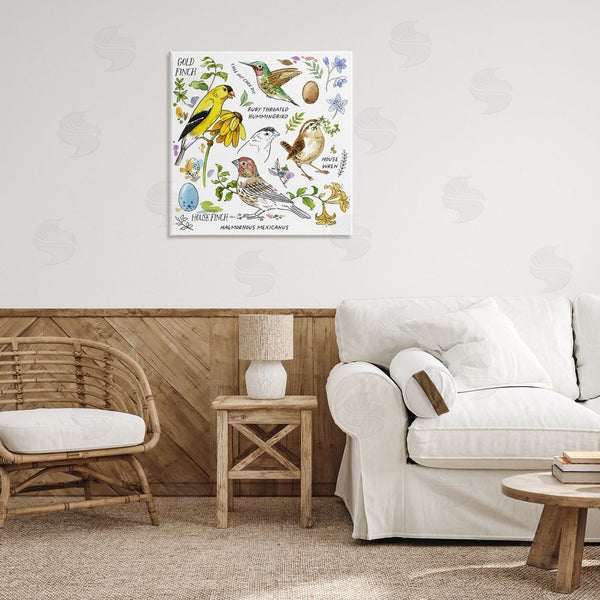 Stupell Industries Jane Maday | Local Birds Chart Wall Art