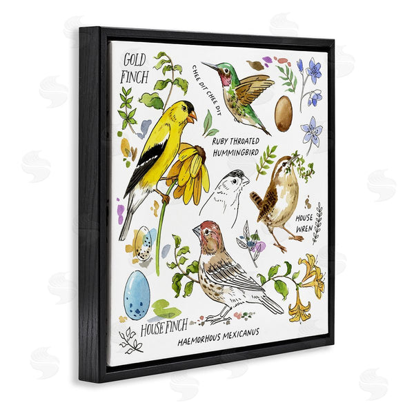 Stupell Industries Jane Maday | Local Birds Chart Wall Art