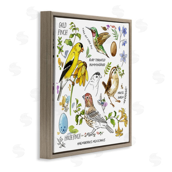 Stupell Industries Jane Maday | Local Birds Chart Wall Art