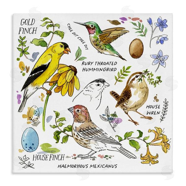 stupell industries Jane Maday | Local Birds Chart Wall Art
