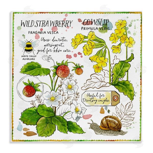 stupell industries Jane Maday | Strawberry & Florals Uses Wall Art