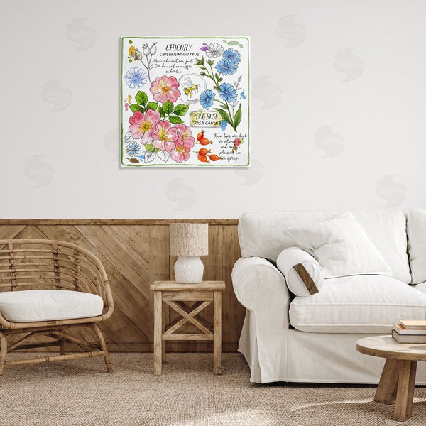 Stupell Industries Jane Maday | Varied Herbs Benefits Wall Art