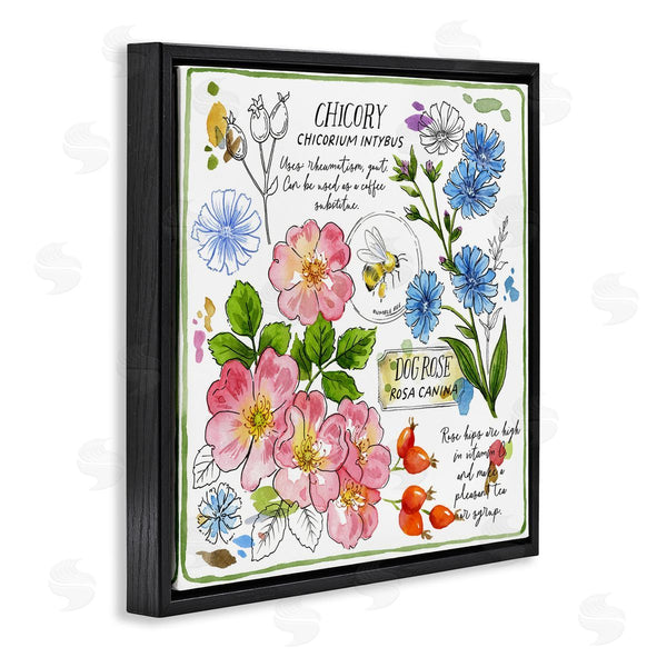 Stupell Industries Jane Maday | Varied Herbs Benefits Wall Art