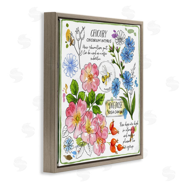 Stupell Industries Jane Maday | Varied Herbs Benefits Wall Art