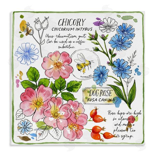 stupell industries Jane Maday | Varied Herbs Benefits Wall Art