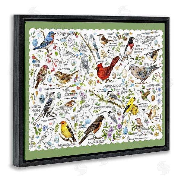 Stupell Industries Jane Maday | Various Bird Species Wall Art