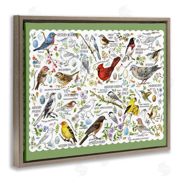 Stupell Industries Jane Maday | Various Bird Species Wall Art