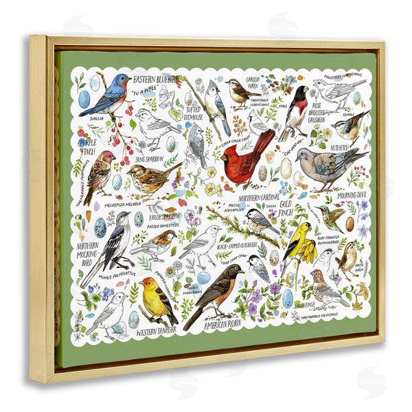 Stupell Industries Jane Maday | Various Bird Species Wall Art