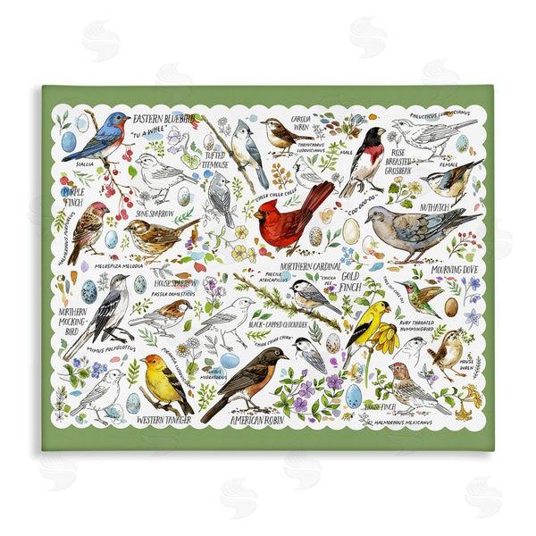 stupell industries Jane Maday | Various Bird Species Wall Art