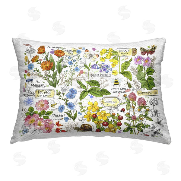 Stupell Industries Jane Maday | Various Herbs Benefits